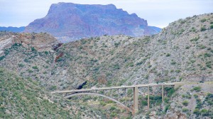 Nevada Bridges