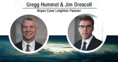 A Brief Guide for Local Government Officials to Public-Private Partnerships A Brief Guide for Local Government Officials to Public-Private Partnerships
