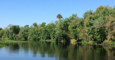 The AWWA Protects Our Most Precious Resource The AWWA Protects Our Most Precious Resource