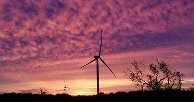 Agricultural Land Near Solar and Wind Projects Usually Remained in Agriculture After Development